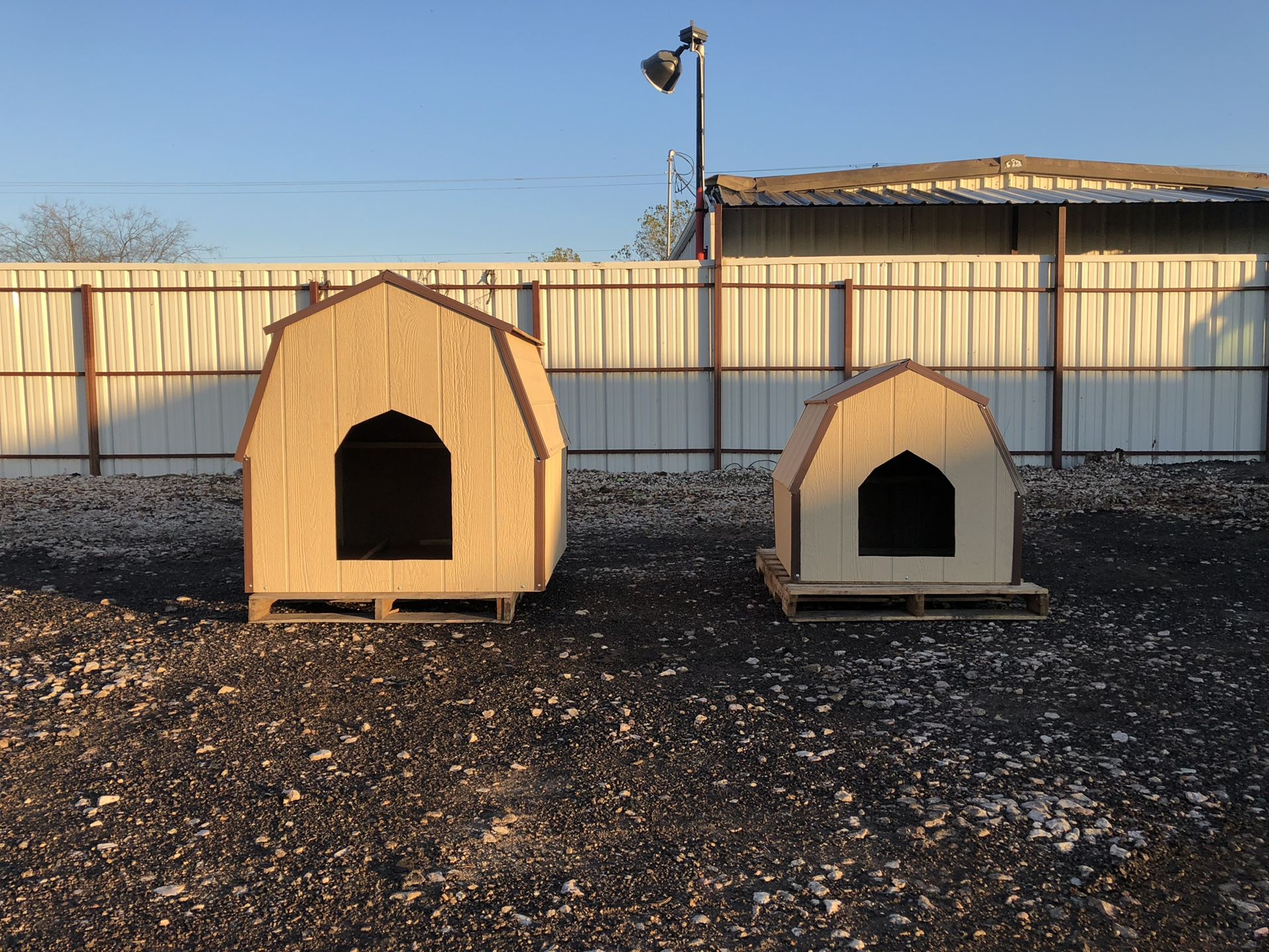 Dog House