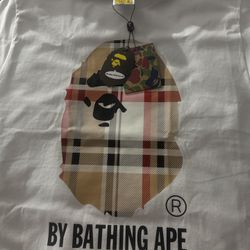 BAPE Burberry