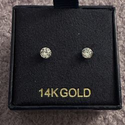 14k Gold  Earrings 