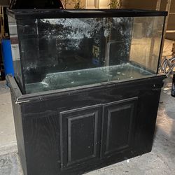 75 Gallon Reef Tank - Fish Tank- Aquarium