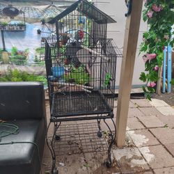 Bird Cage For Sale