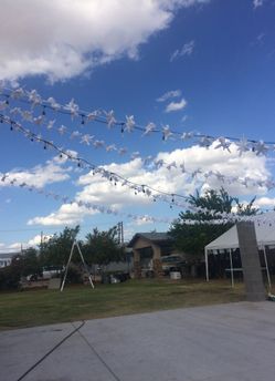 Home made flowers for party I can make them any color ! These are for sale ! Asking 150