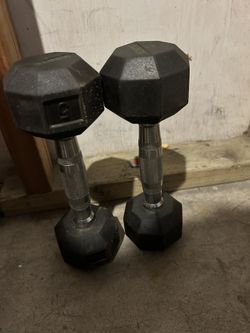 5lb Weights
