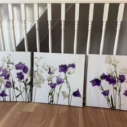 Set Of 3 Canvases 