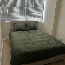 Queen Bed Frame with Queen Matress