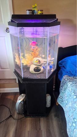 Fish tank with stand