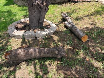 Free Firewood