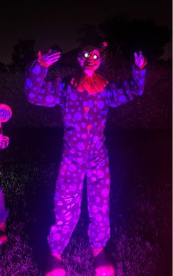 Peekaboo clown $300