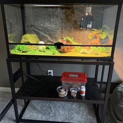 Gecko Cage