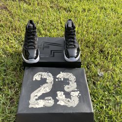 Space Jams 11s Size 10