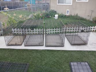 Cages, Table For DOG HAIRCUTS