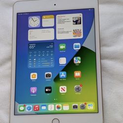 iPad Mini 