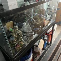 55 Gallon Aquarium 