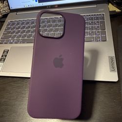 Plum Apple Silicone Case iPhone 16 Pro Max
