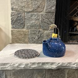 Cast Iron Teapot