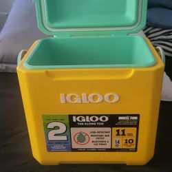 Igloo LIMITED EDITION 
