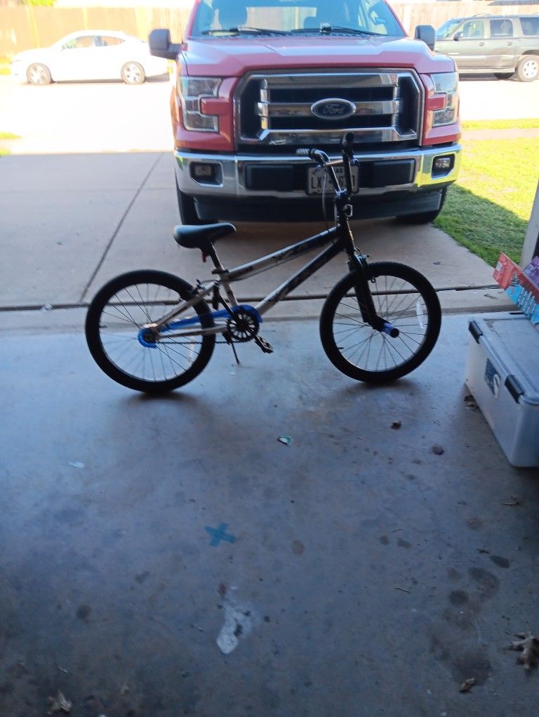 20 Inch Bike