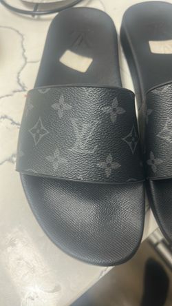 lv slides