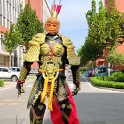 Chinese Mythology Monkey King Outfit