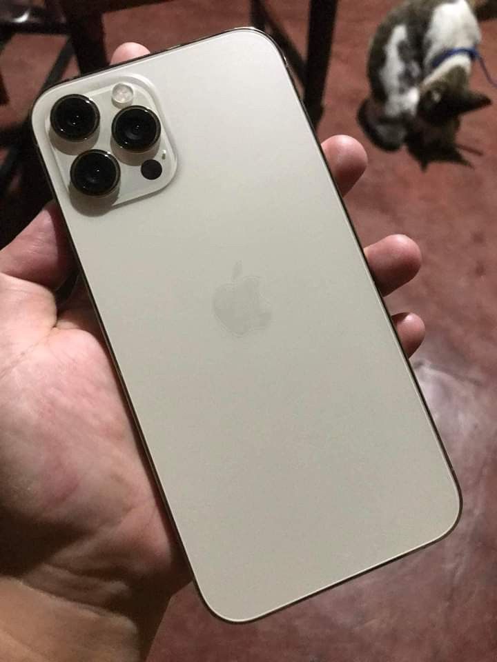 iPhone 12 Pro