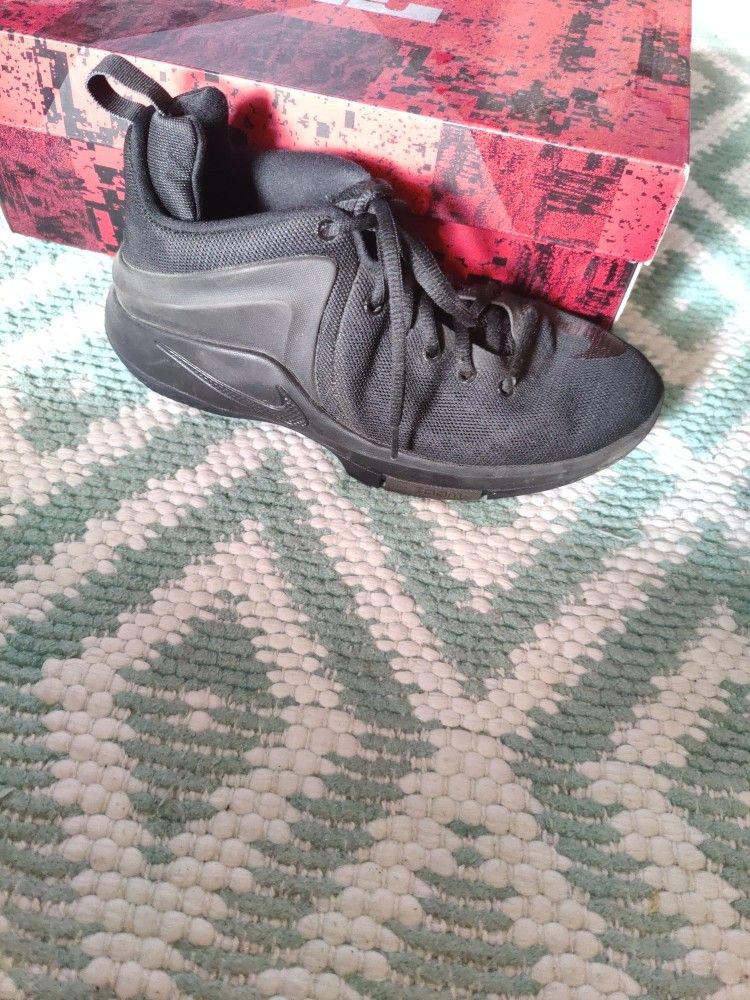LeBron James Zoom Witness Basketball Shoes