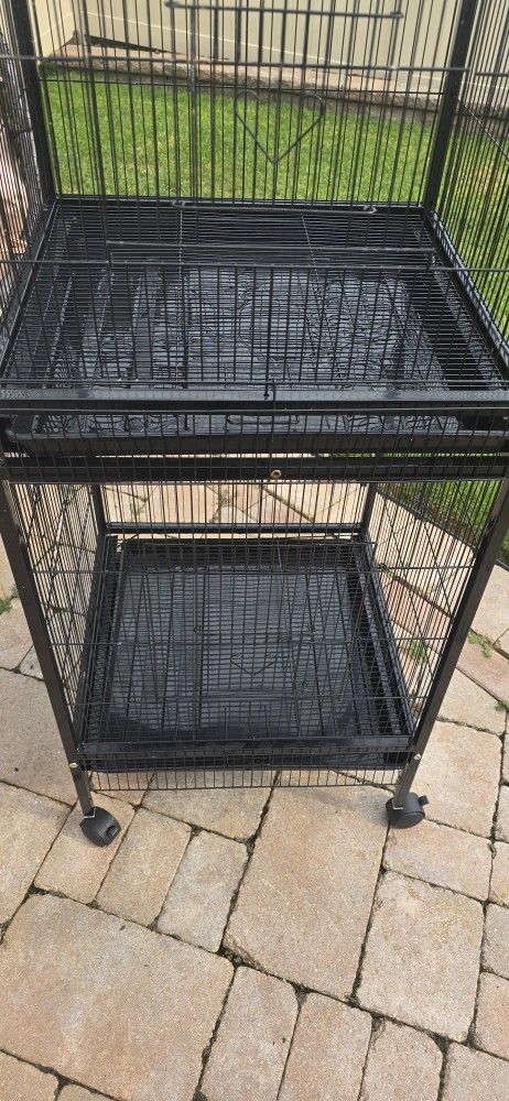Bird Cage
