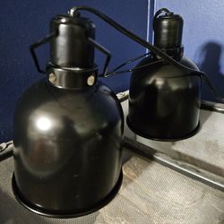 Light fixture with bulbs