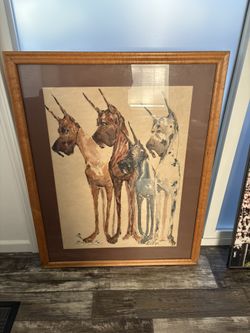 Beautiful Photos Of Three Dogs