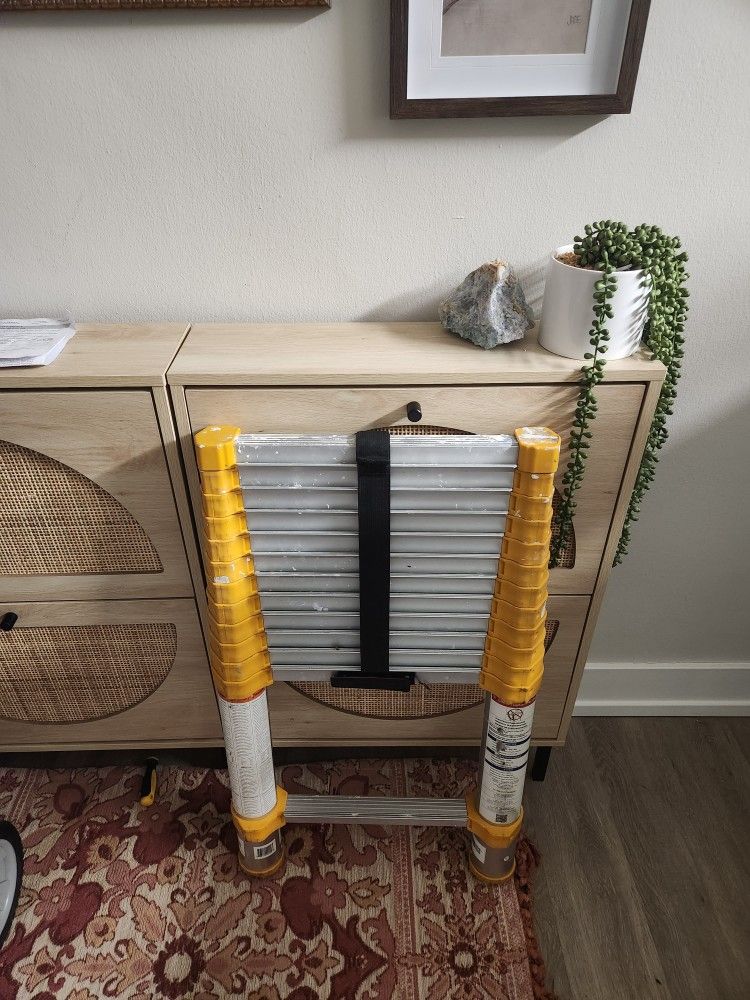 Telescopic Ladder Sherwin Williams Buying Discounted