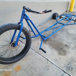 Trike Doble( Proyecto)