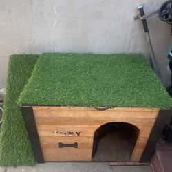 Dog House 