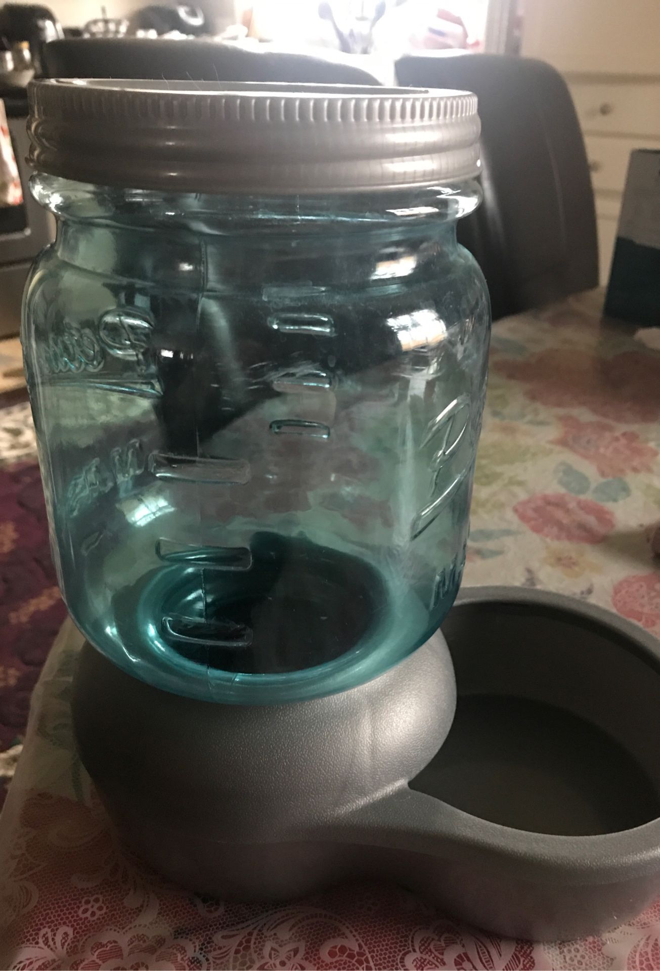 Patmate mason jar Replenishing waterer