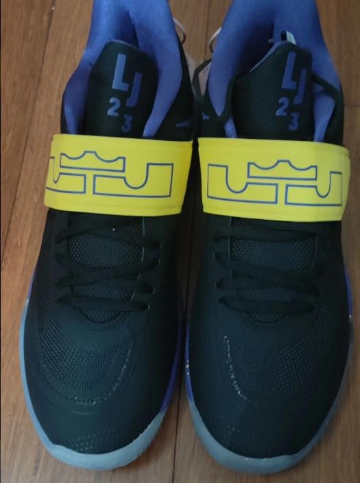 Newly purchased and tried on Nike James Ambassador 12th generation basketball shoes once