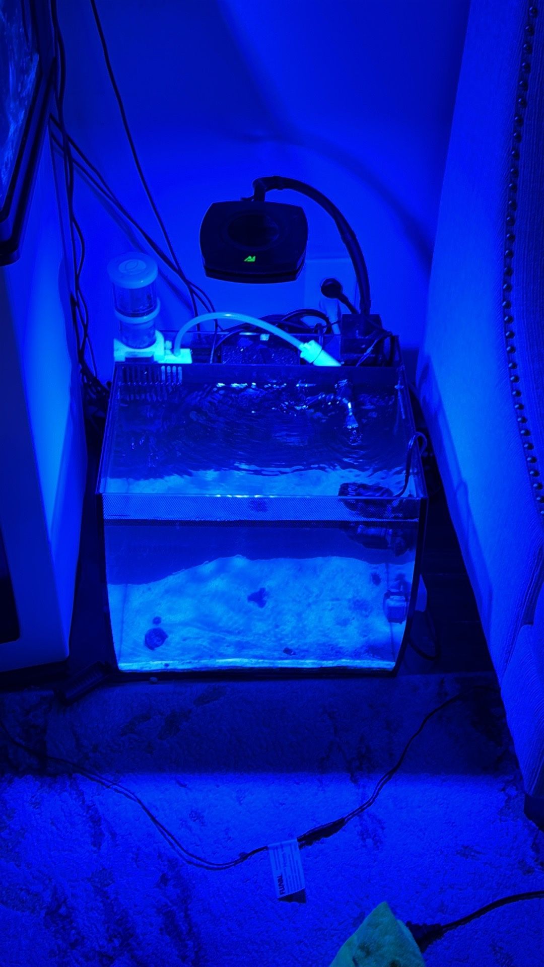 Fluvial Flex Fish Tank