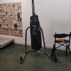 Punching Bag 