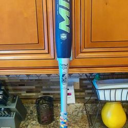 34-27 - SOFTBALL BAT