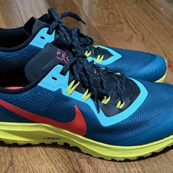 Nike Pegasus Size 12.5
