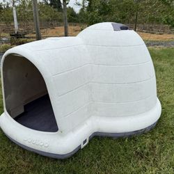 Dog Igloo /Dog House  Large Dog In Great Shape Basically Like New