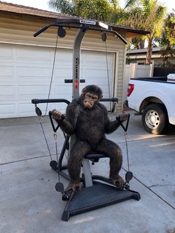 BowFlex Xceed Home Gym