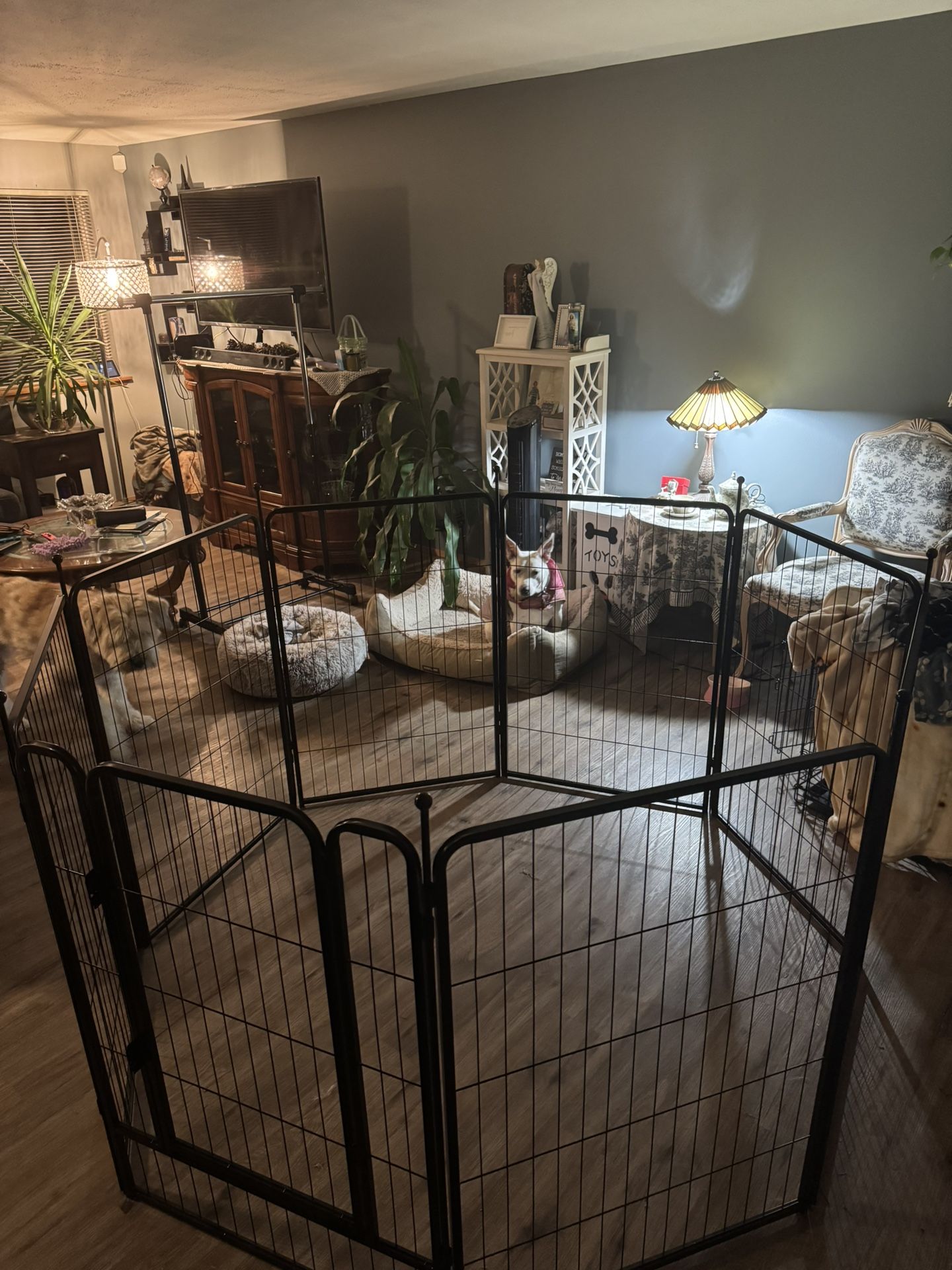 Dog Gates/Enclosure