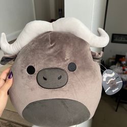 Squishmallow Boden Select Series 