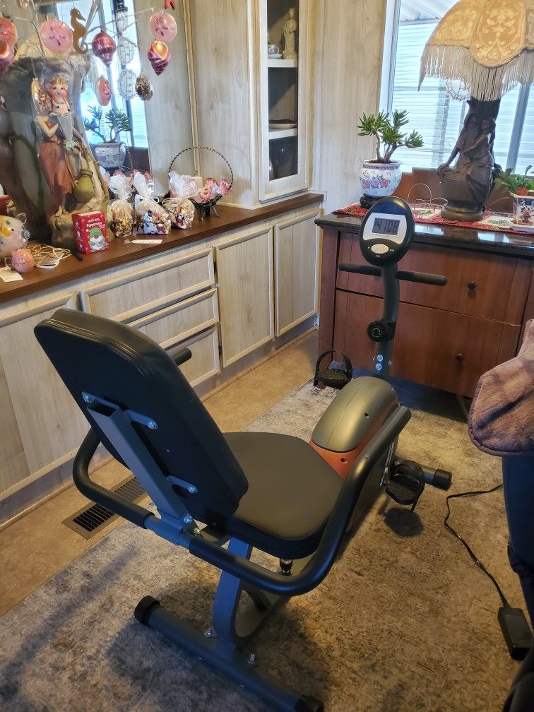 Recumbent Exercise Machine
