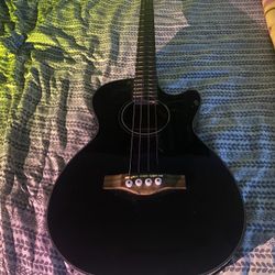 Fender Fishmen Acoustic Bass