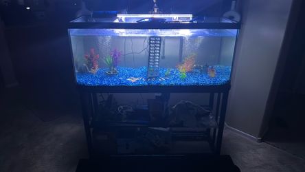 75 gallon fish tank