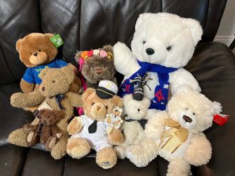 Miscellaneous bears