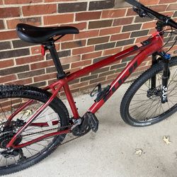 Mountain Bike (great condition)