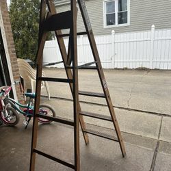 6 Foot Ladder 
