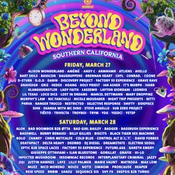 Beyond Wonderland