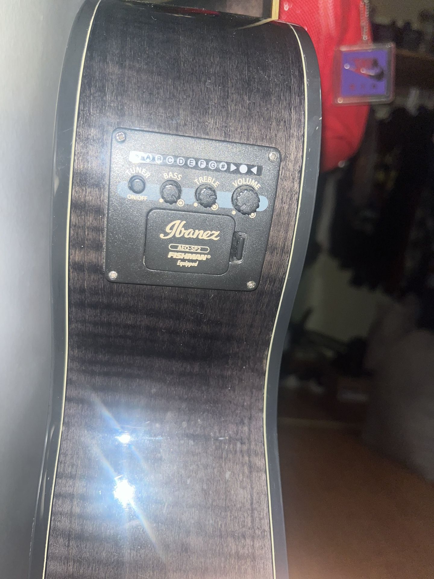 Ibanez 12 String