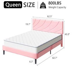Queen Size Bed Farm With Head Board (Brand New)